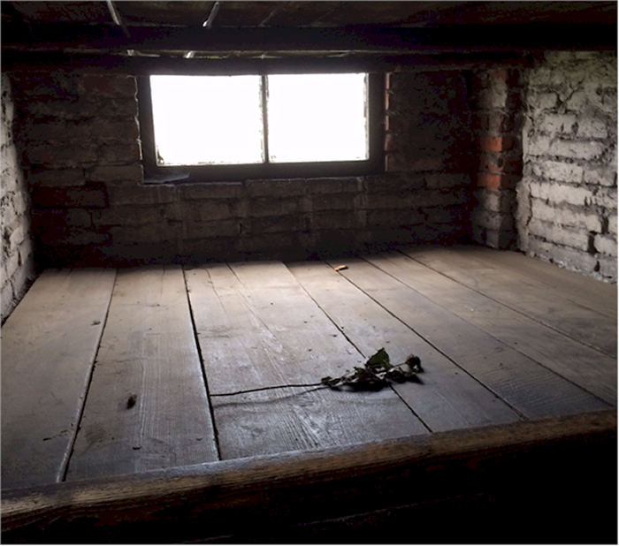 A rose left on a bunkbed at Auschwitz-Birkenau